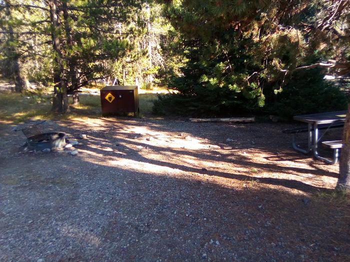 Bear Box, Fire Pit with Grill, Picnic TableColter Bay Campground