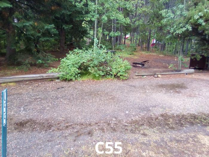 C Loop Site 55