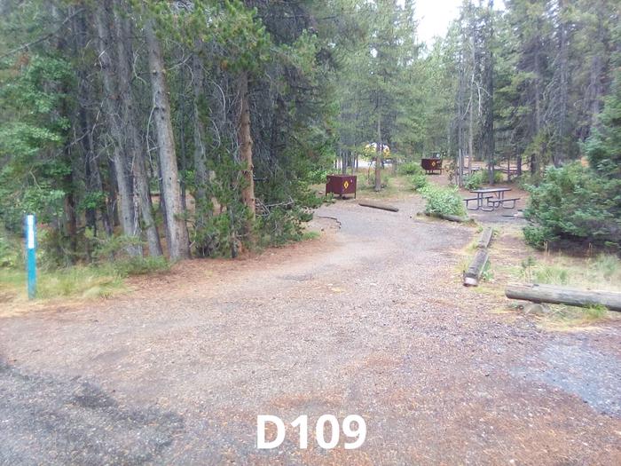 D Loop Site 109