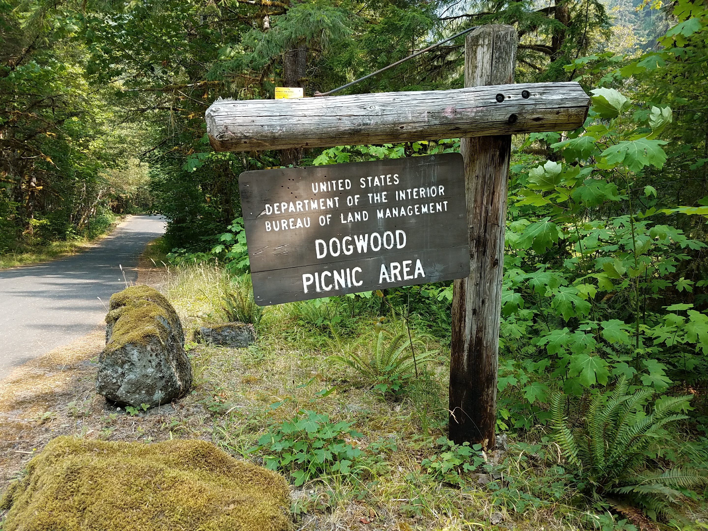 Site entry sign at Dogwood Picnic Area