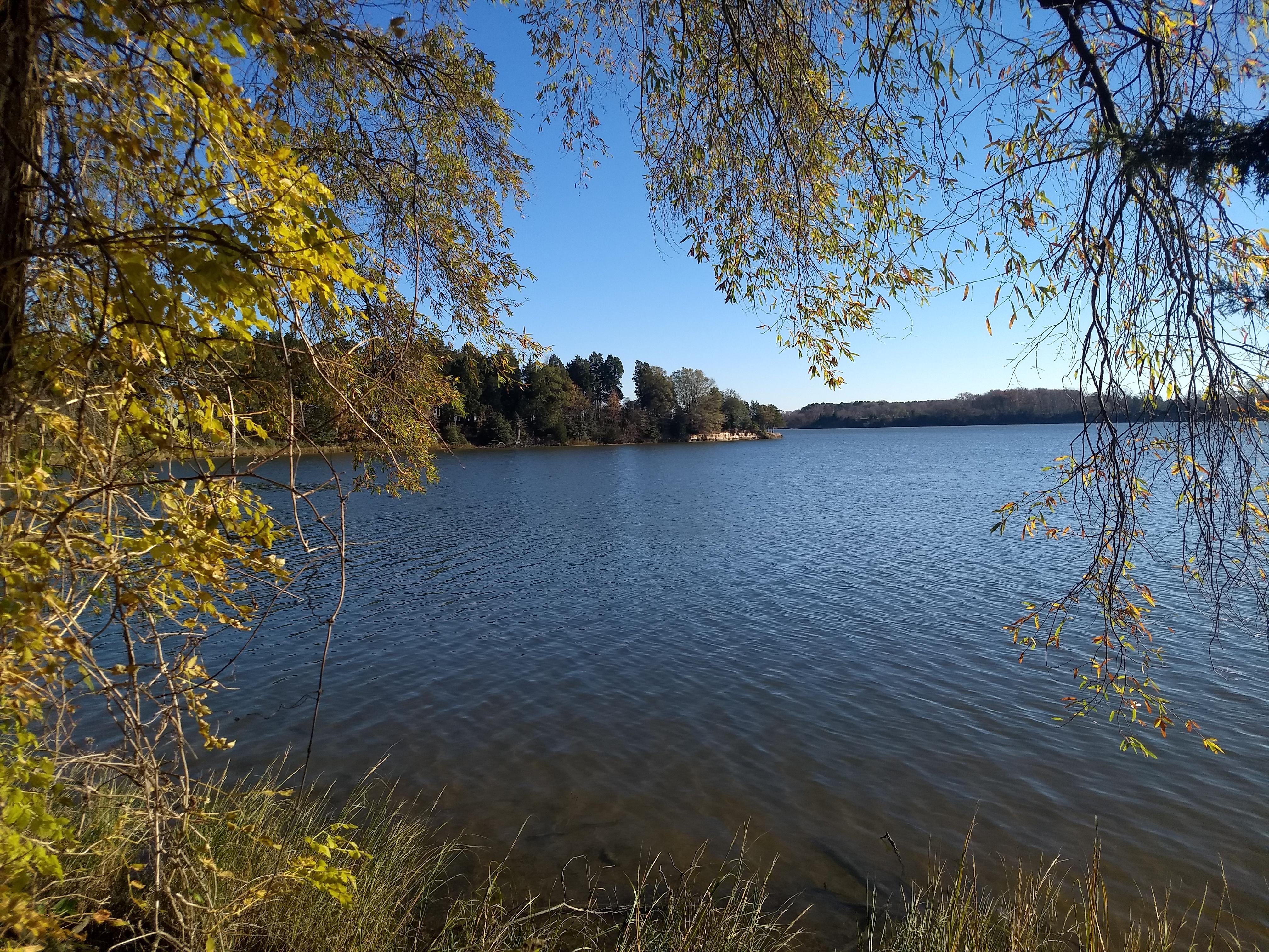 Overlook of Popes Creek