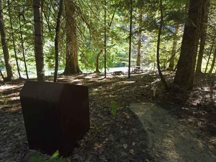 A food storage locker and picnic table in a campsite surrounded by open forestHarlequin Site 1