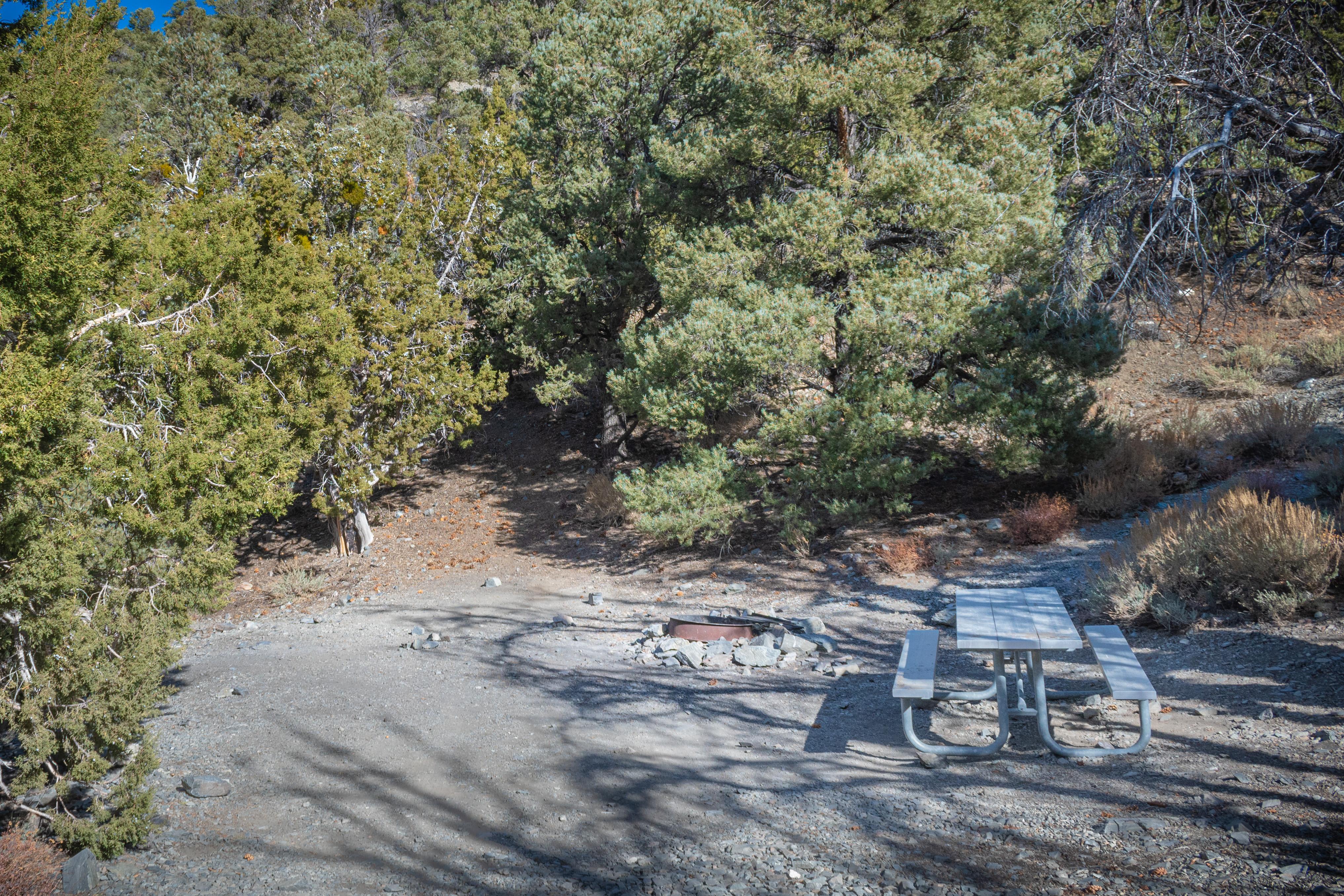 Thorndike Campground (Primitive)