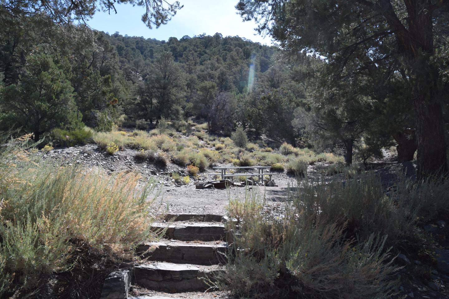 Thorndike CampgroundThis primitive campground is within a pinyon pine and juniper forest.