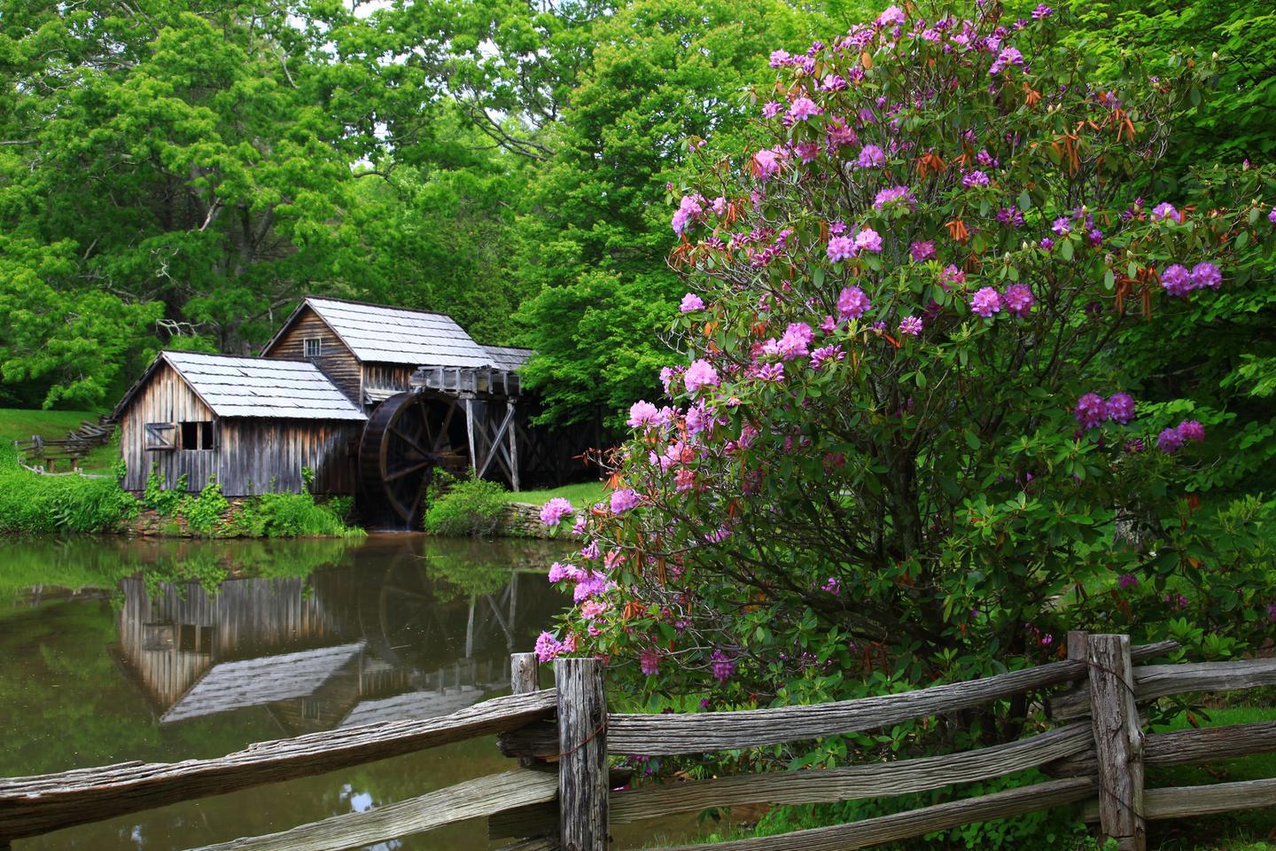 Mabry MillLocated in Virginia's Plateau district, picturesque Mabry Mill is one of the most iconic features of the Blue Ridge Parkway