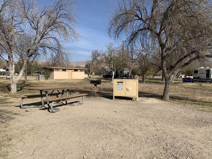 Close-up view of a campsite at the end of a gravel driveway. From left to right, a brown picnic table, metal grill, and bear box all border the edge of the campsite. Cottonwood trees grow on either side of the site and a campground restroom is off in the distanceClose-up of Site 3