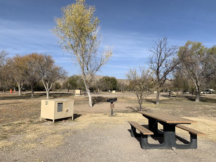Close-up view at the end of the campsite driveway. From left to right, a bear box and metal grill sit on the edge of the campsite. On the bottom right, a brown picnic table faces out to the surrounding area. Behind the campsite, there is a grassy field with cottonwood trees growing between other campsites.Close-up view of Site 1