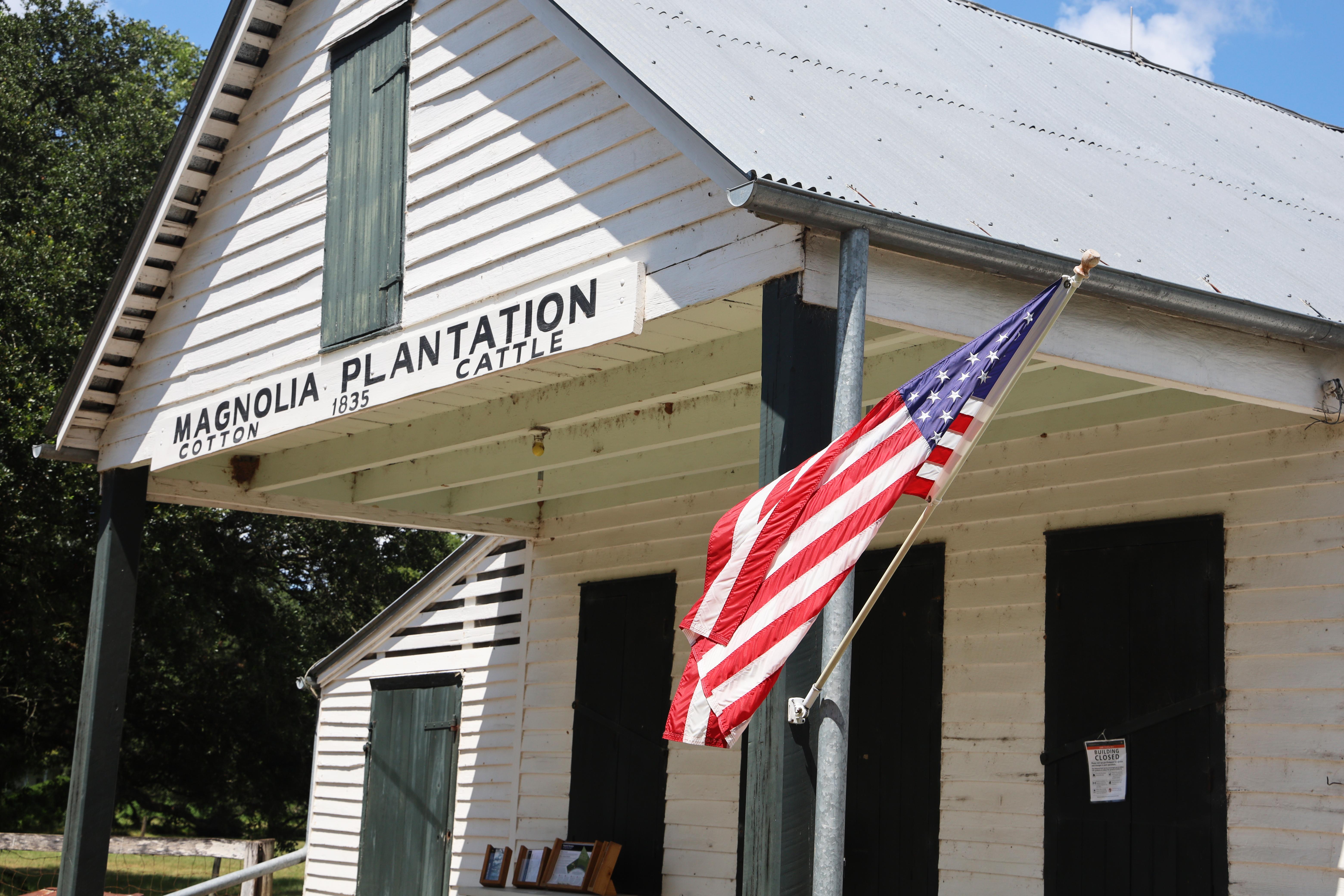 Kisatchie Bayou Camp — Kisatchie National Forest, Natchitoches LA dispersed campsite