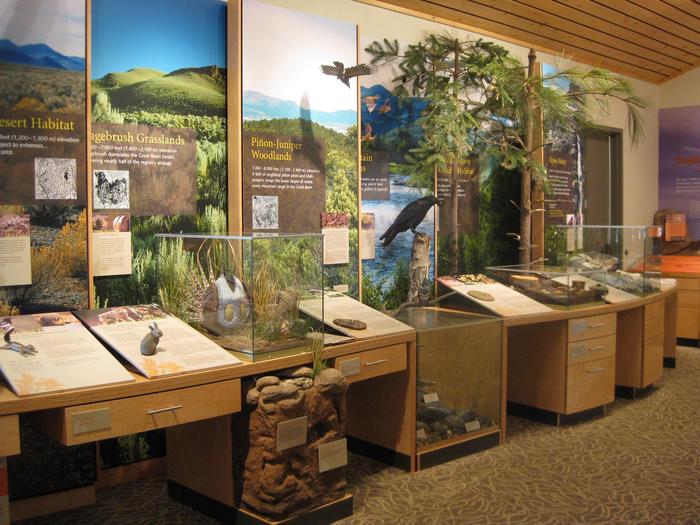 Life Zones exhibit Great Basin Visitor CenterAs you gain elevation in the Great Basin habitats start to change.