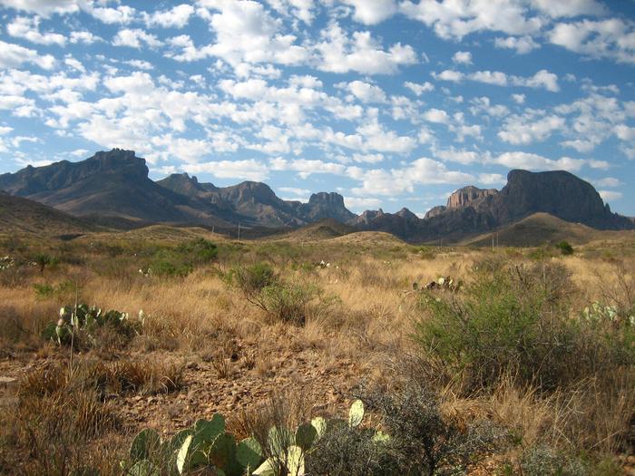 Desert SceneryBig Bend is a prime example of Chihuahuan Desert