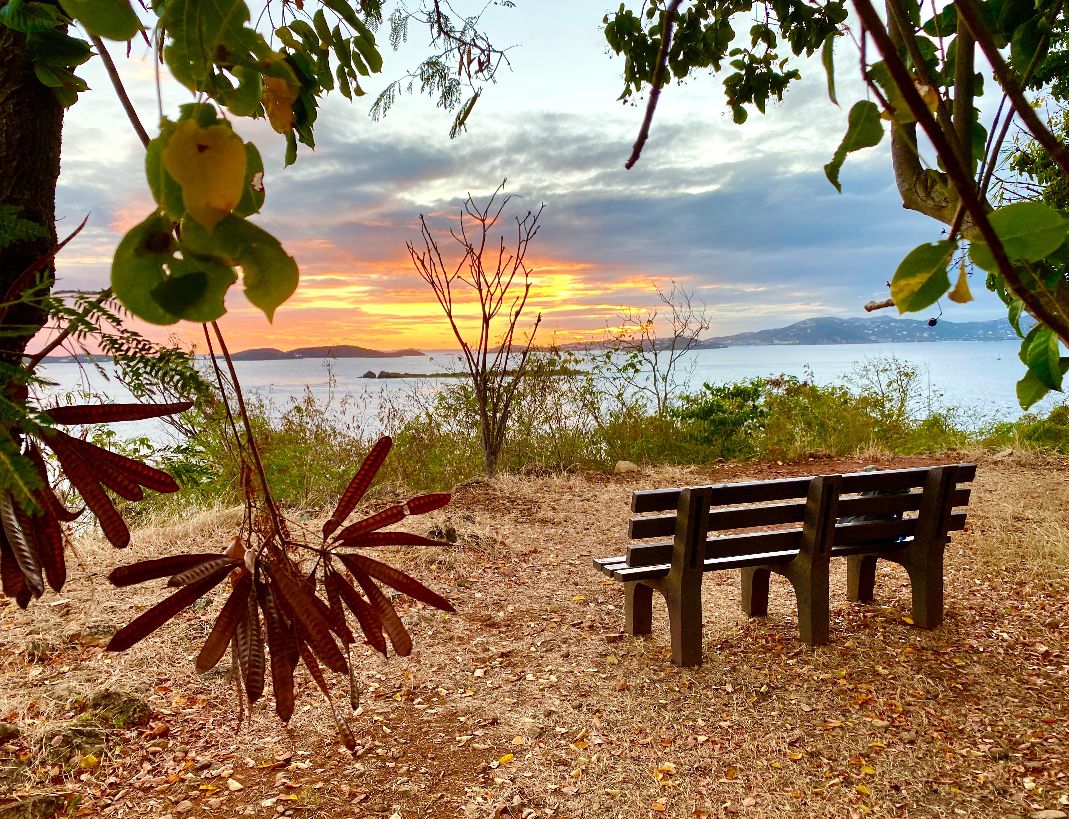 Sunset Bench at Lind Point