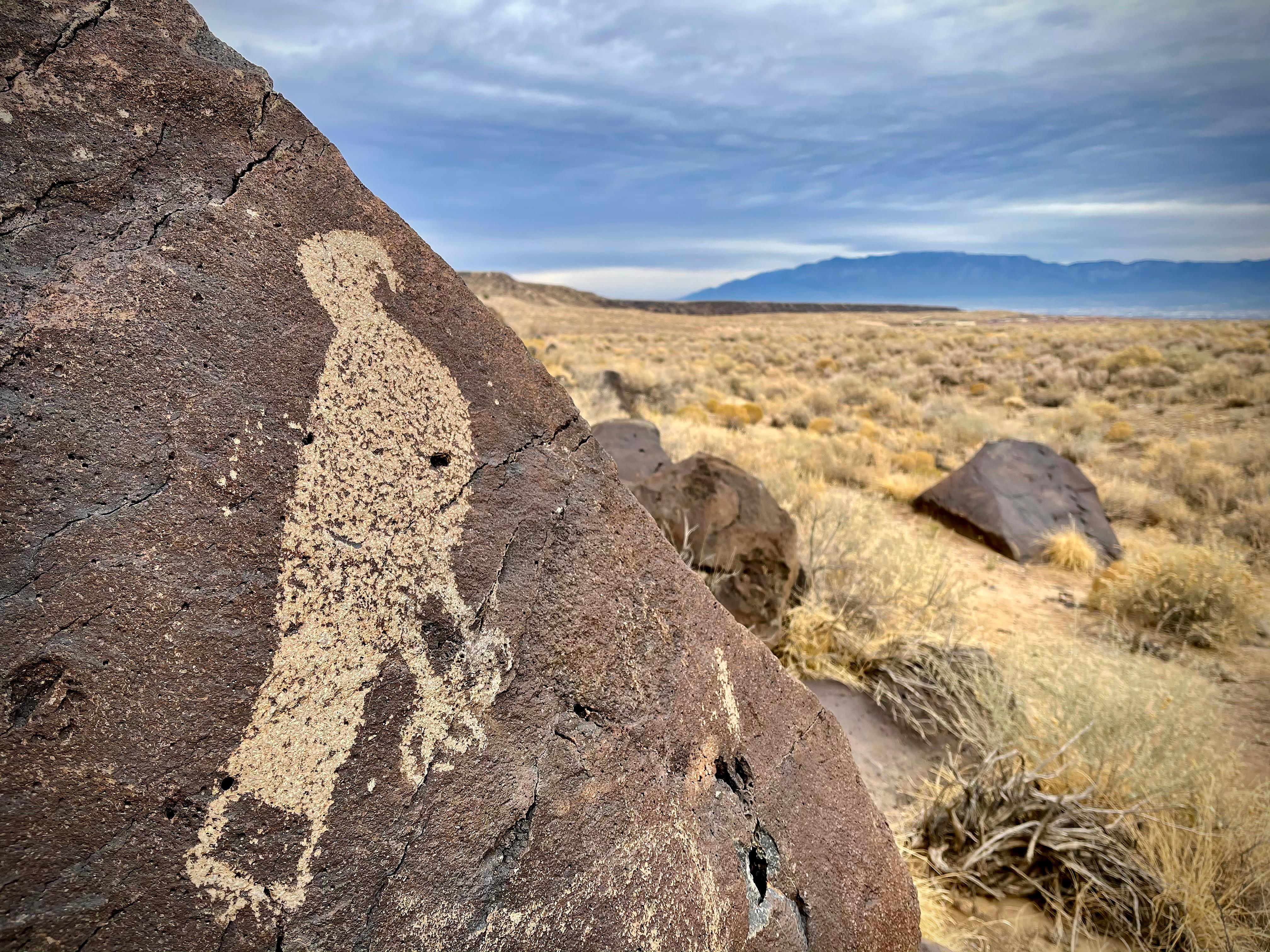 Hawk Petroglyph at Mesa Prieta