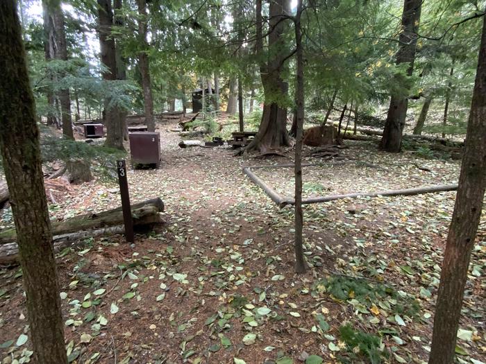 Bear box, tent pad, picnic table, and campfire ring set in the woods.Colonial Creek North campsite number 3. Set in the woods with typical walk-in campsite amenities.