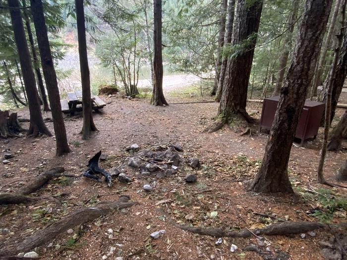 Picnic table, tent pad, bear box, and fire ring under the trees along Diablo Lake.View of campsite.