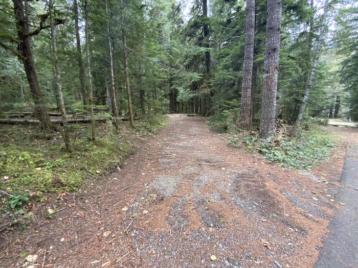Long gravel driveway leading back to a campsite with a picnic table, campfire ring, and bear box.View of campsite.