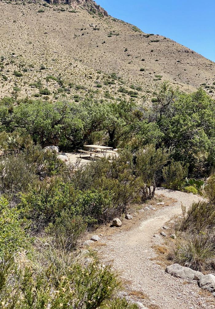 Tent campsite 18, photo shows a pathway winding its way through desert vegetation to the campsite.