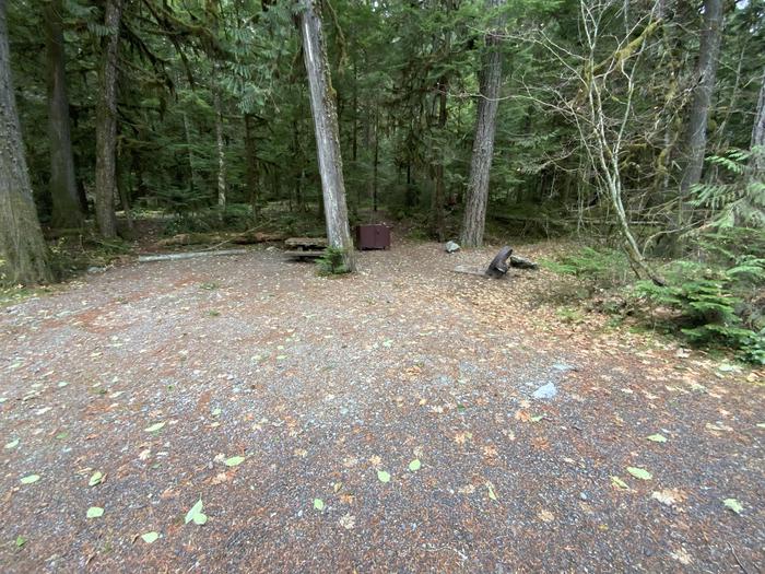 Gravel parking area near a campsite containing a picnic table, campfire ring, and bear box.View of campsite.