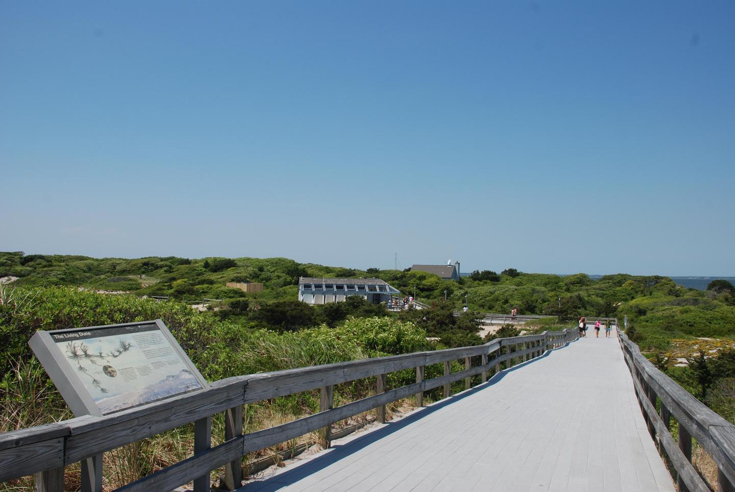 Boardwalk to the ocean beach.Bathrooms, a lifeguarded beach, concessions and a visitor center are available seasonally at Sailors Haven