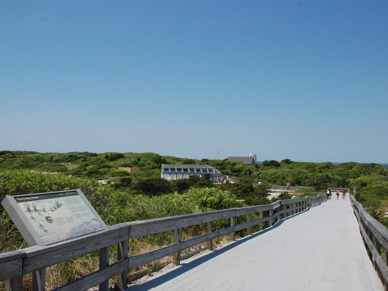 Boardwalk to the ocean beach.
