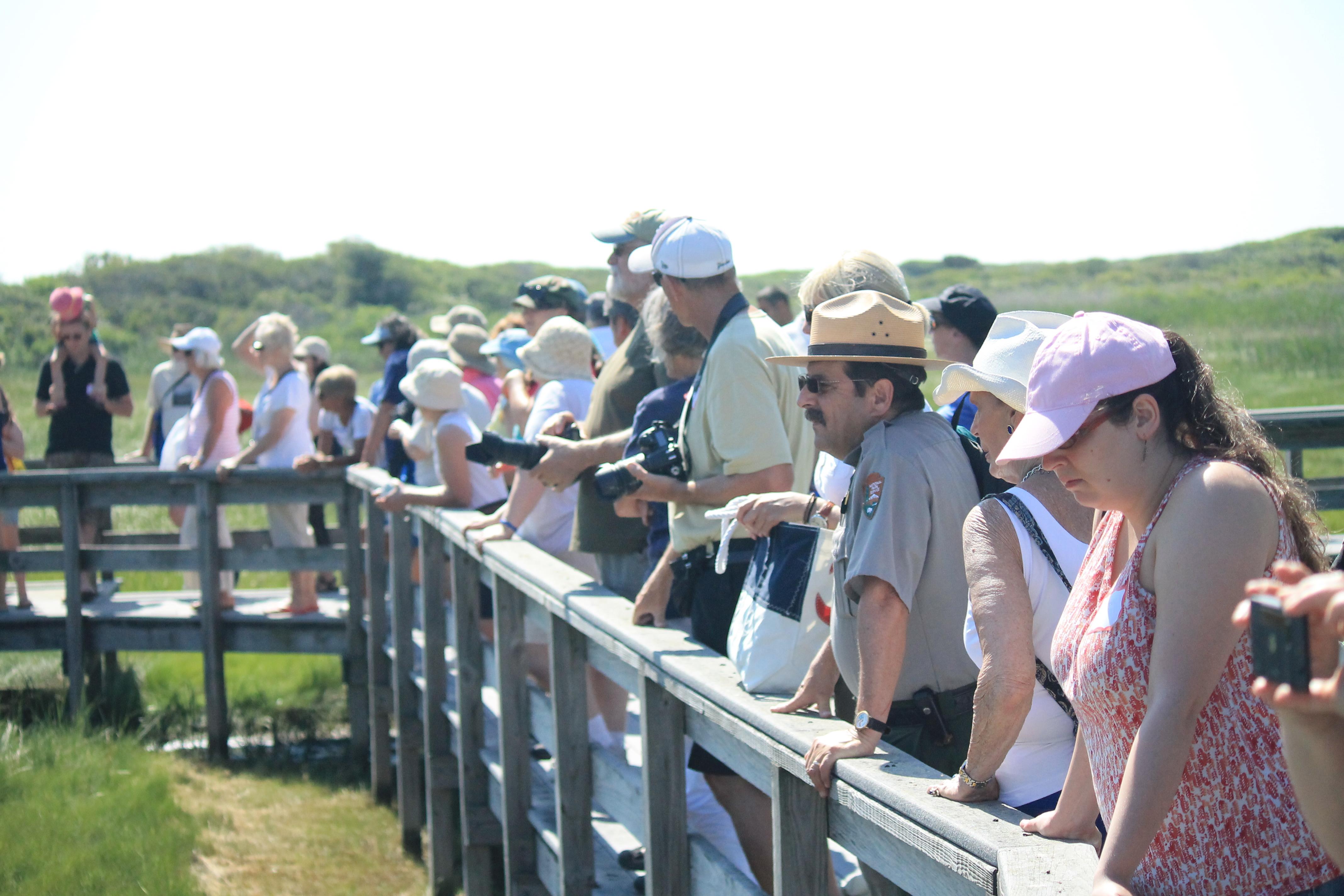 Ranger guided tours