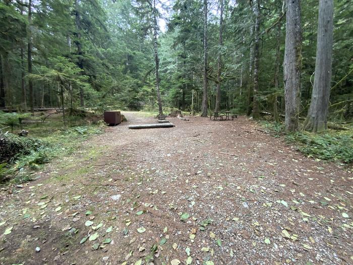 Gravel parking area adjacent to a lightly wooded campsite containing a bear box, picnic table, and campfire ring.View of campsite.