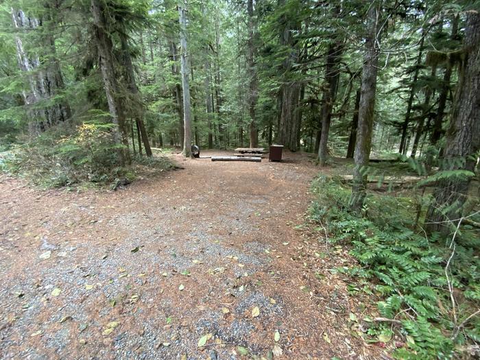 Gravel parking area with an adjacent campsite containing a campfire ring, picnic table, and bear box.View of campsite.
