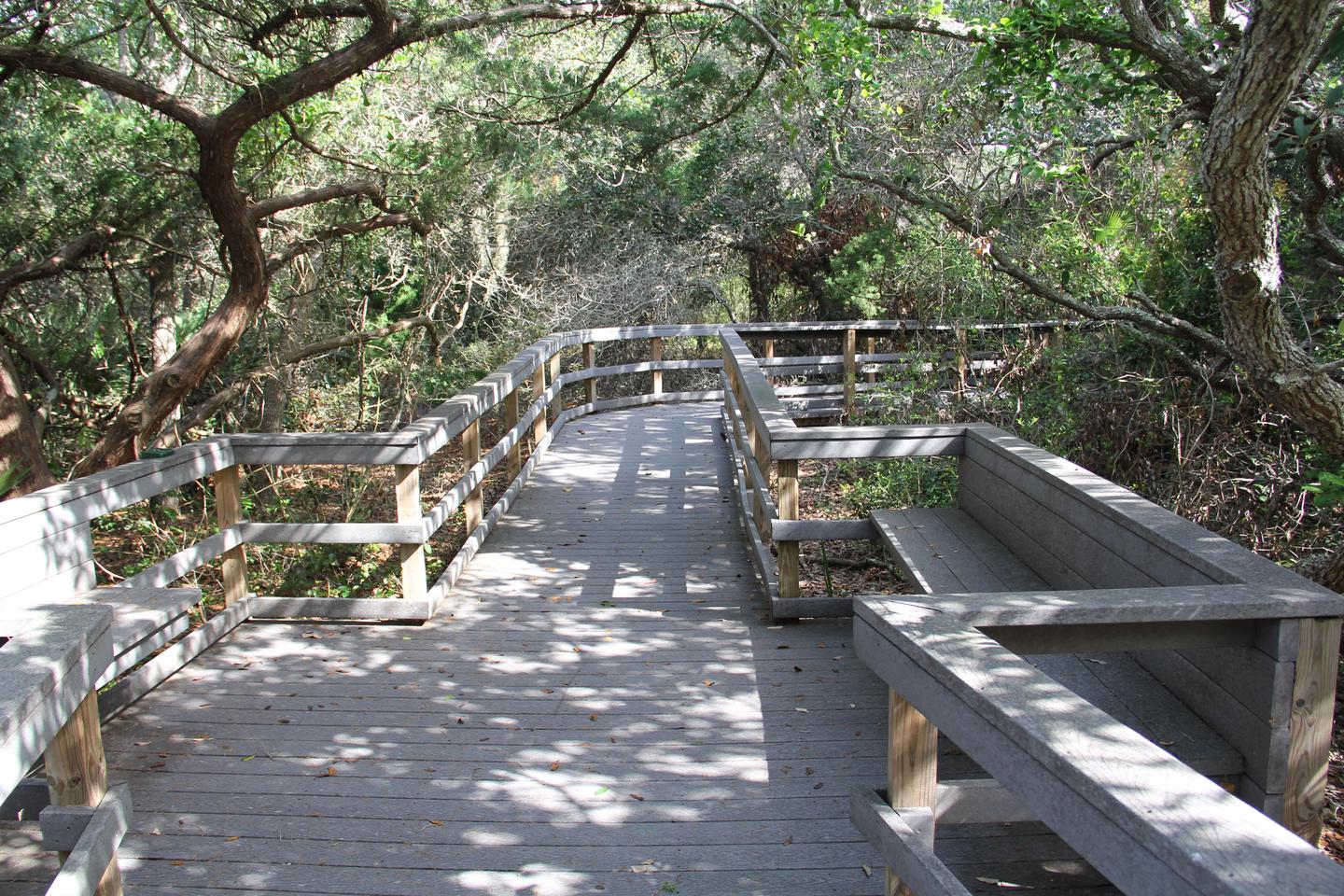 Nature TrailFollow an elevated boardwalk through some pristine Florida barrier island habitat.