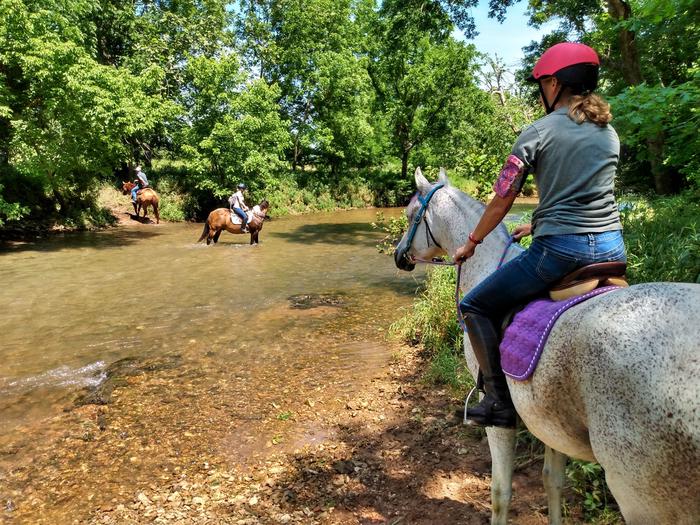 Horseback ridersA rider pauses at the edge of Wilson's Creek while other riders cross.