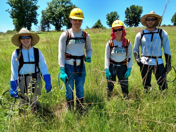 Conservation crewsCrews from Watershed Conservation Corps and Conservations Corps of Minnesota and Iowa do plant conservation work on Bloody Hill under direction of the Heartland Inventory and Monitoring Network.