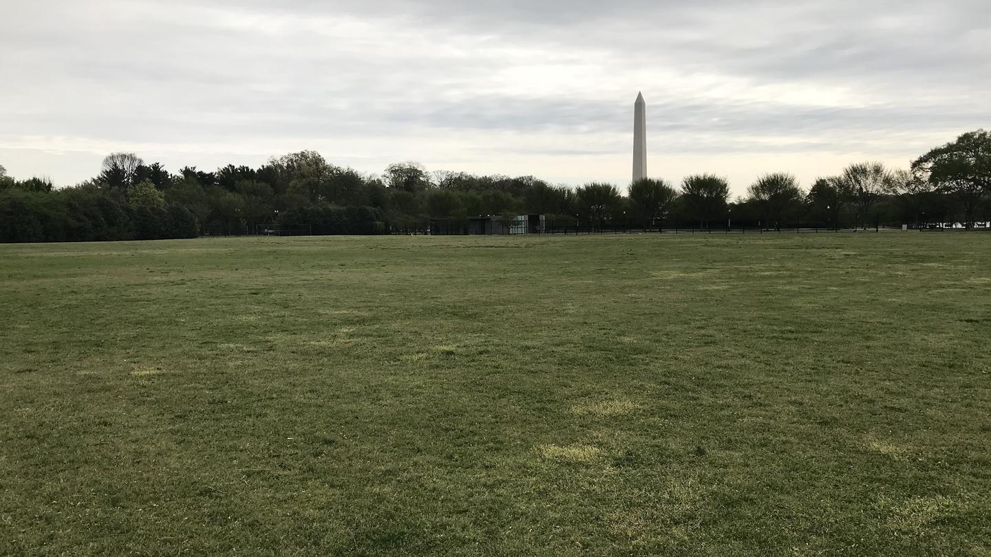 A view of the West Potomac Park Mixed Use Fields. The image shows a grassy field with trees and the Washington Monument in the distance.West Potomac Park Mixed Use Fields