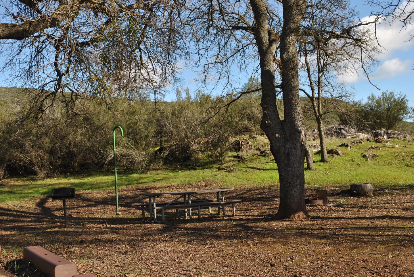 Oak Knoll Campground Site 19 Picnic AreaCampsite