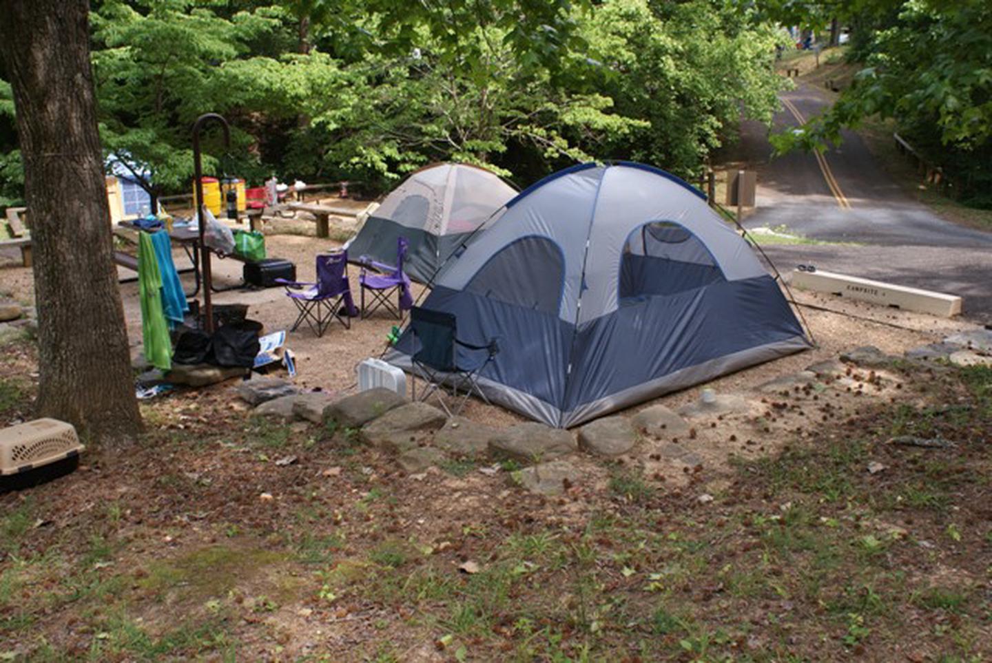 E Loop Site #83-11E Loop Site #83, 23' back-in with 16' x 16' tent area.