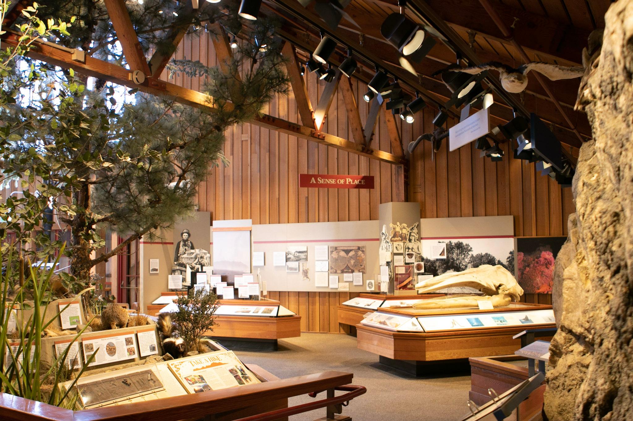 Bear Valley Visitor Center Exhibits