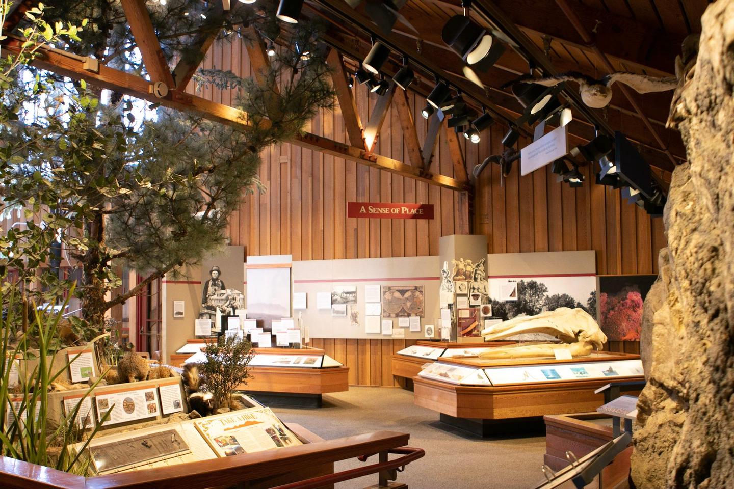 Bear Valley Visitor Center ExhibitsLearn about the thousands of years of human history at Point Reyes.