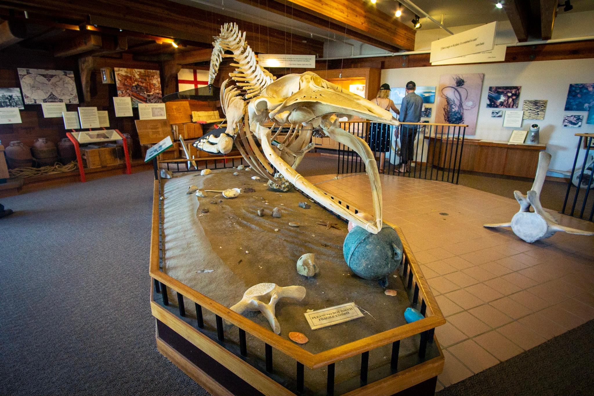 Kenneth C. Patrick Visitor Center