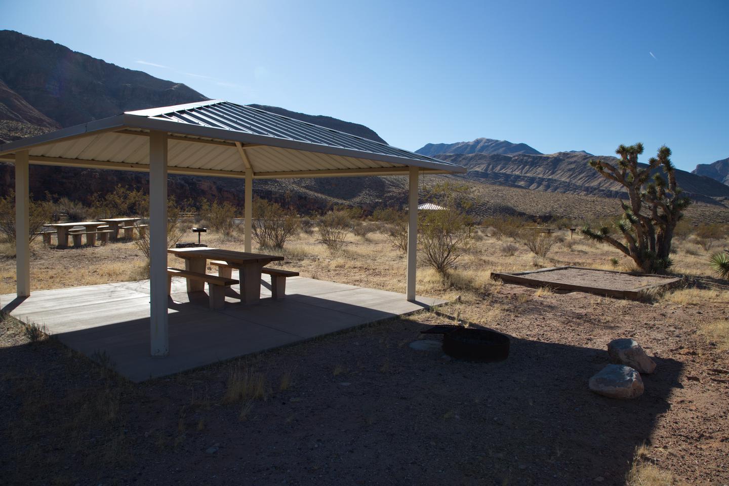 Site 36 showing fire pit and tent pad