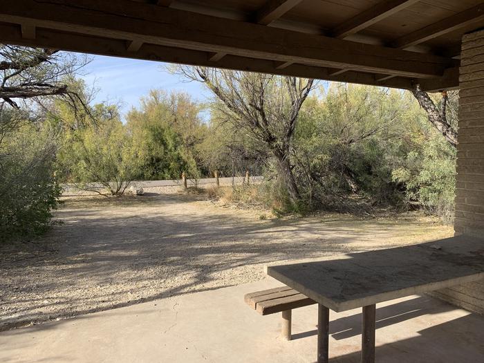 View from inside the shade shelter. The picnic table is shown with a bench attached to the inside wall of the shelter. Looking out from the table, there is a long, gravel walkway leading from the driveway, and soft dirt beside it for pitching tents.View from inside the shade shelter, looking out to the walkway.