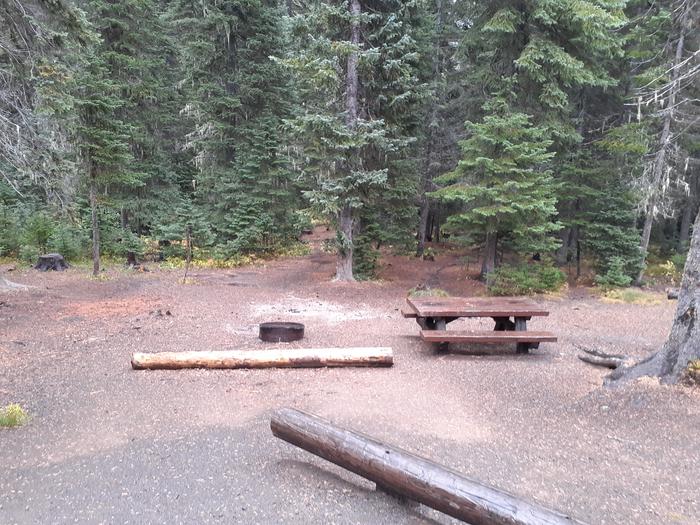 Campsite with fire ring and picnic tableJubilee Lake Campground site #3