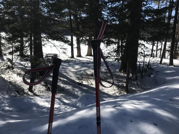 Ski poles
