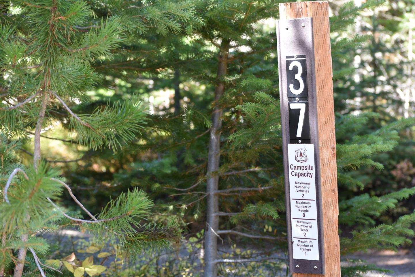 camp site entrance signJubilee Lake Campground site #37