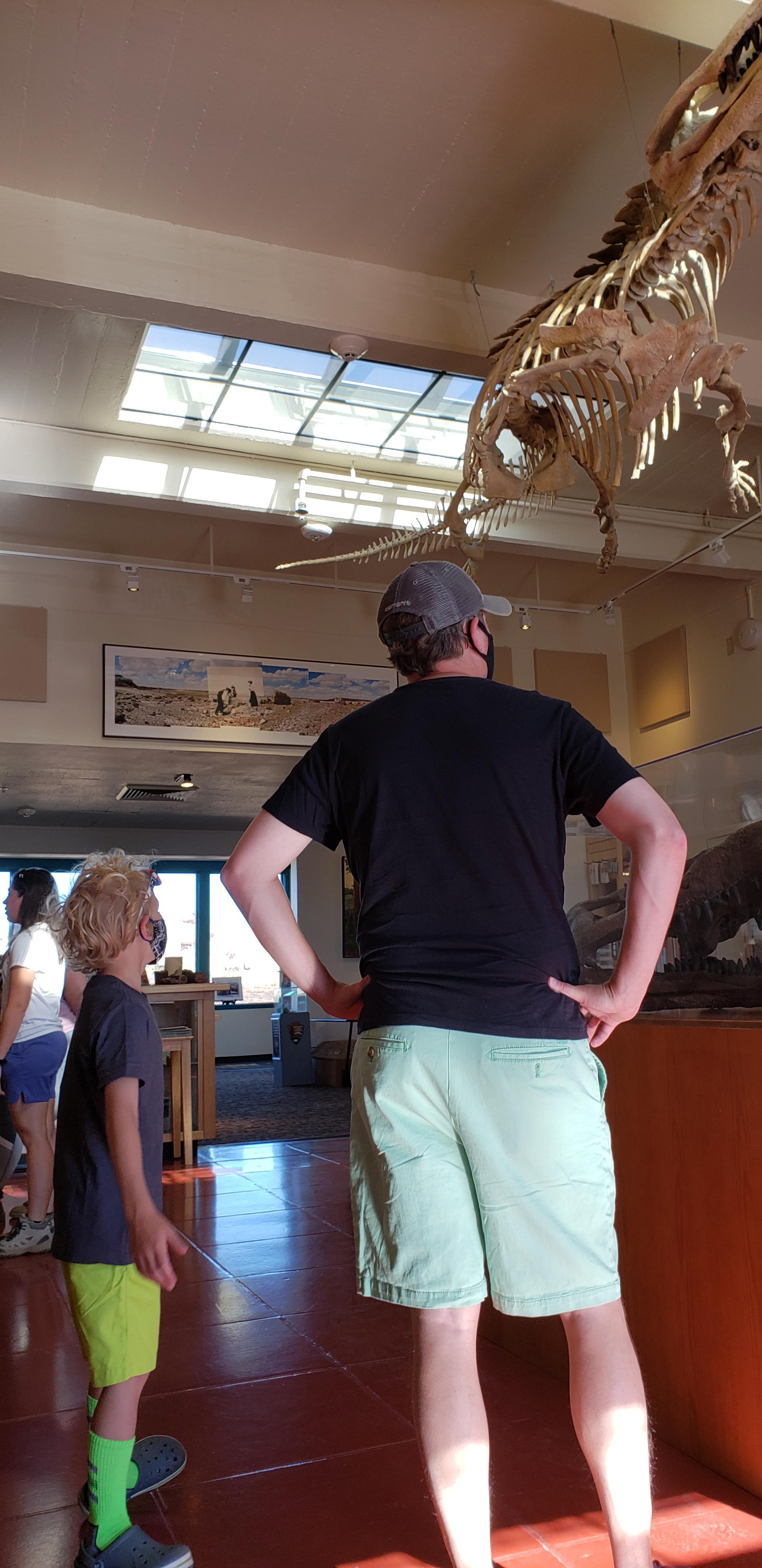 Masked visitors looking at exhibits at Rainbow Forest Museum