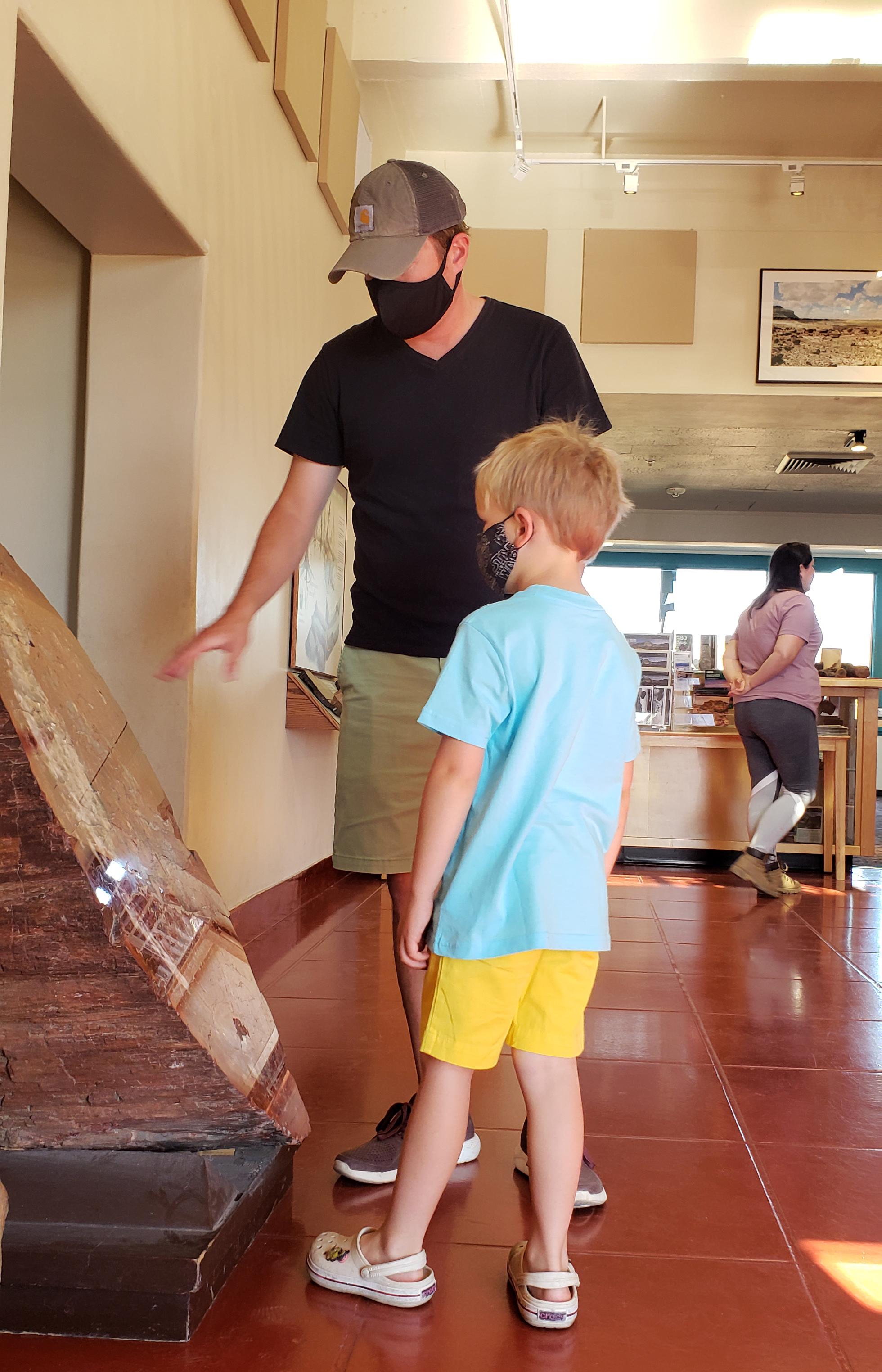 Masked visitors looking at exhibits at Rainbow Forest Museum 2