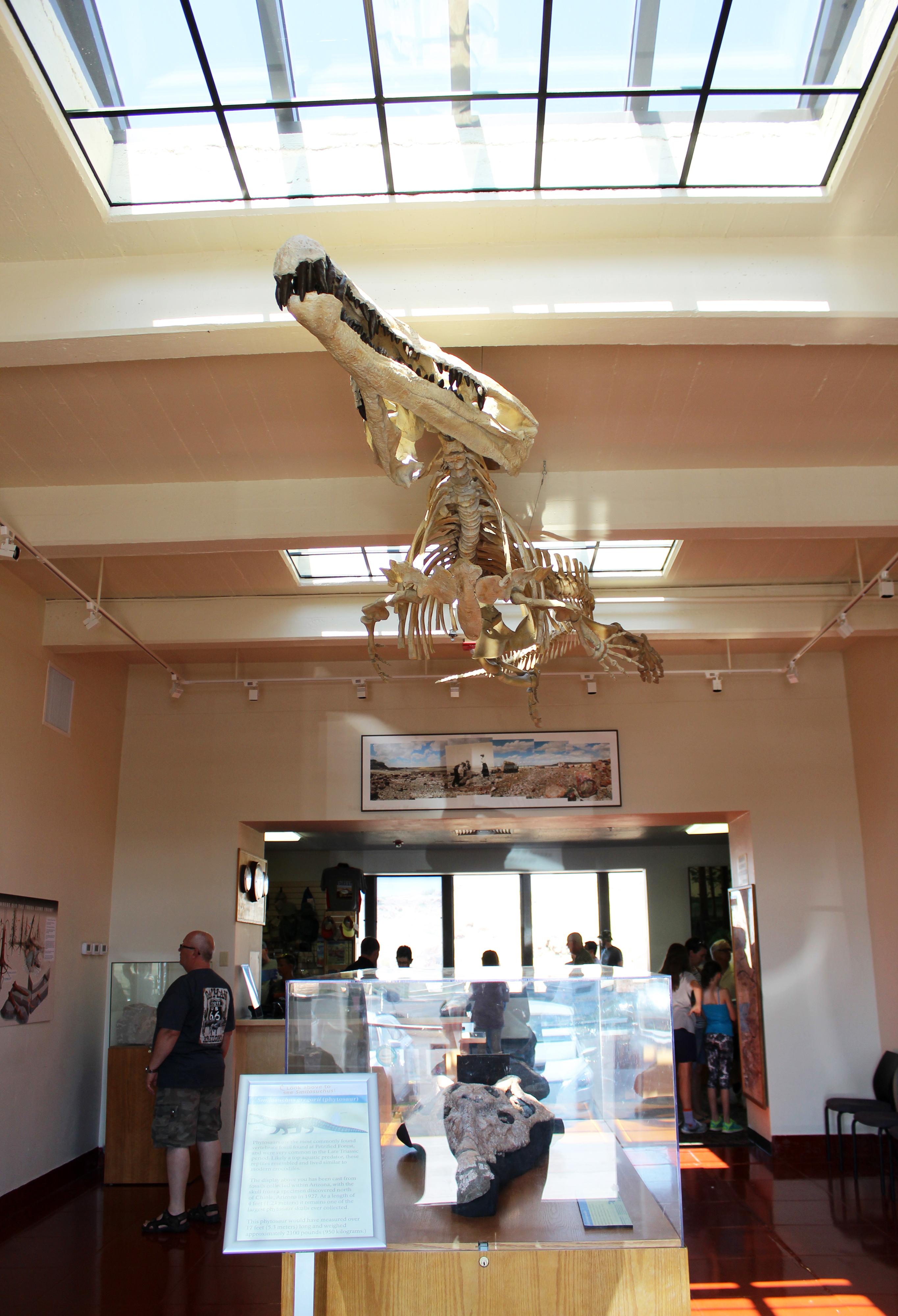 Lobby at Rainbow Forest Museum