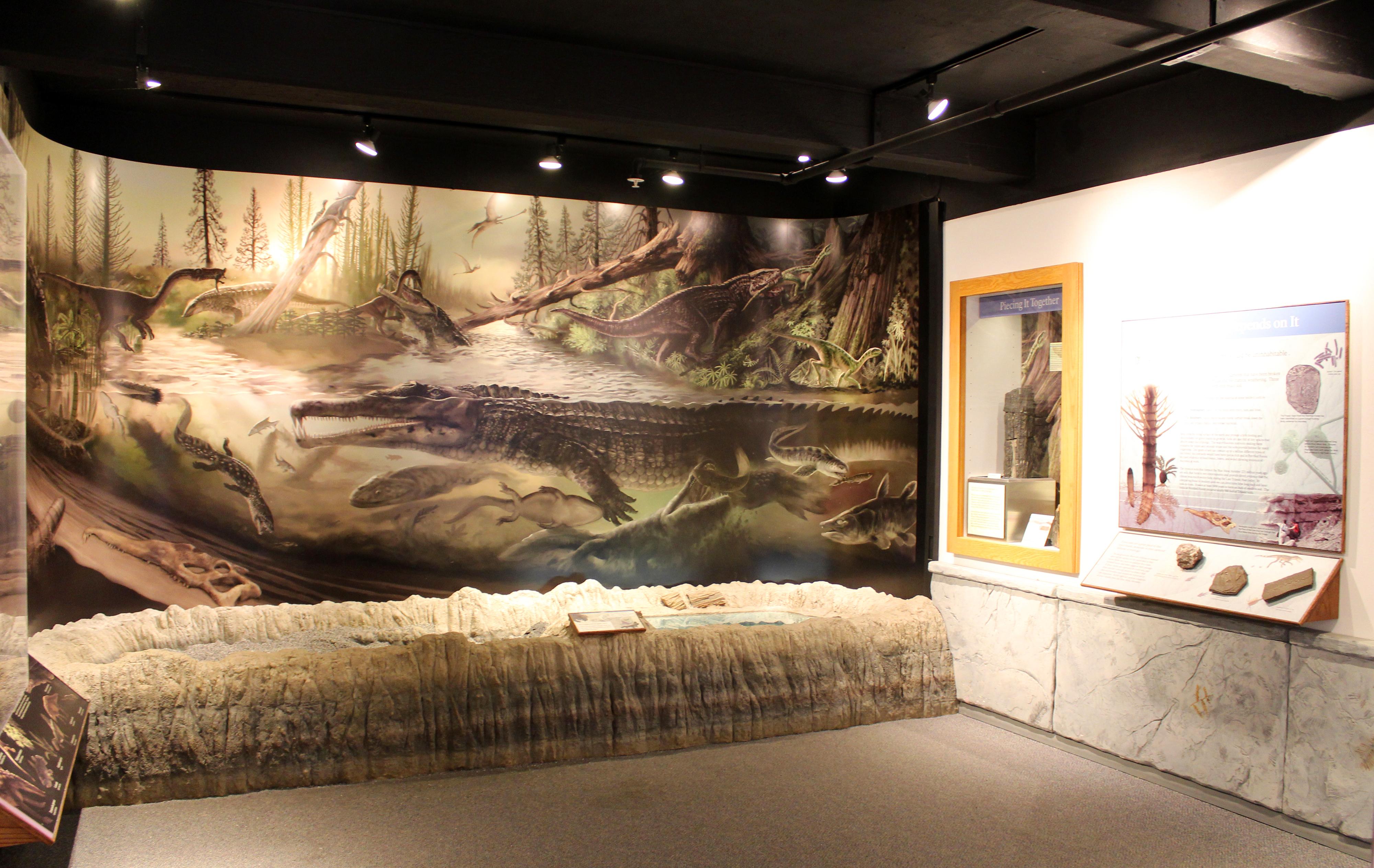 Rainbow Forest Museum's Blue Mesa Room