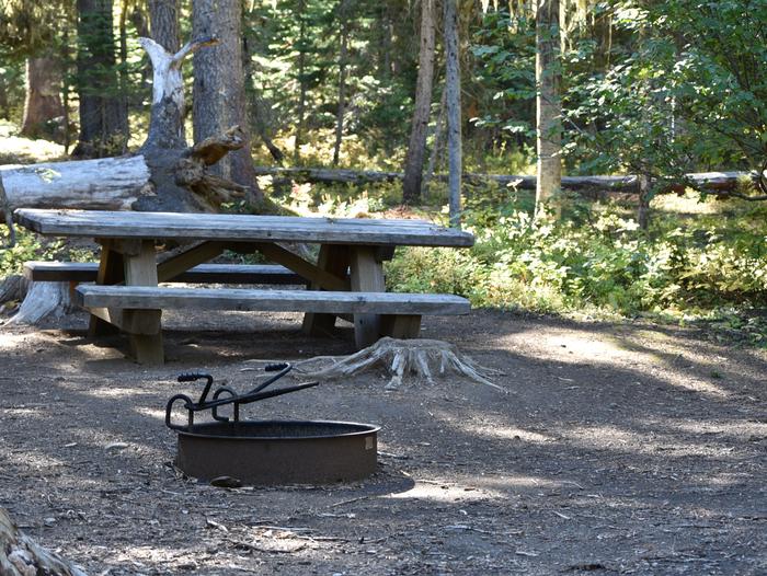 camp site picnic table and fire ring