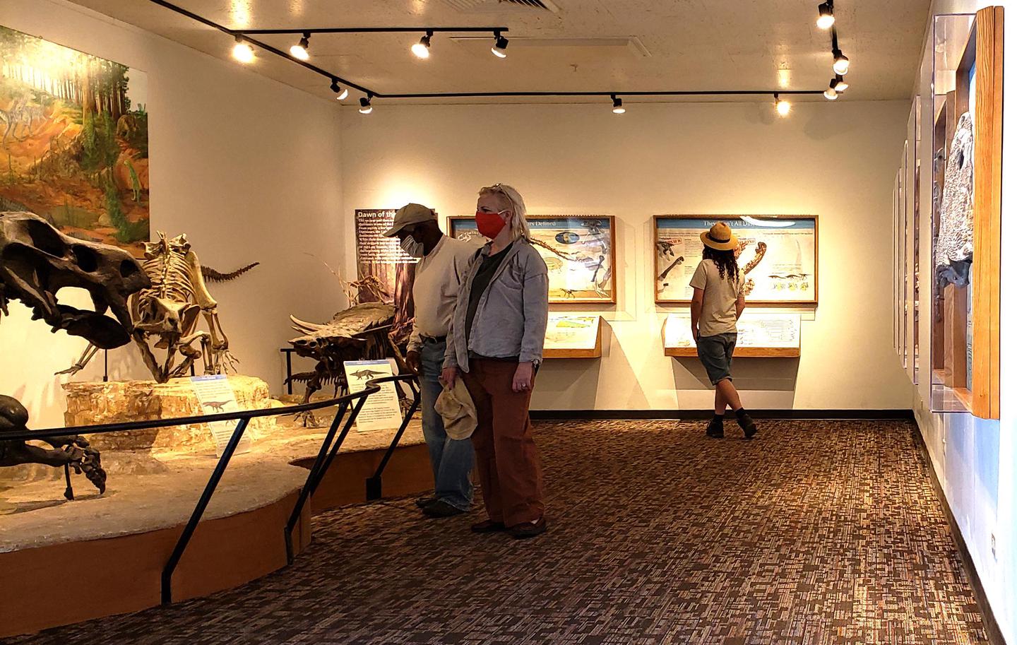 Masked visitors looking at exhibits at Rainbow Forest Museum