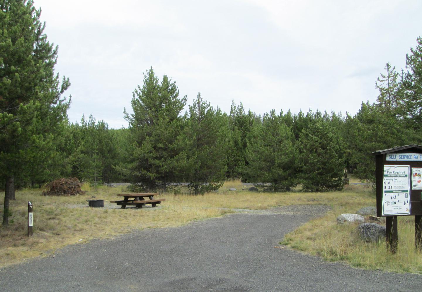 camp site #1 parking area, picnic table and fire ringNFJD Campground site #1