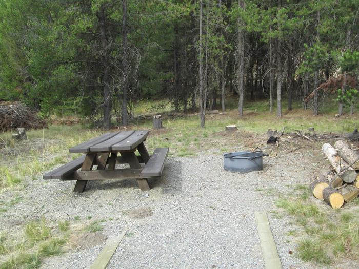 camp site picnic table and fire ringNFJD Campground site #6