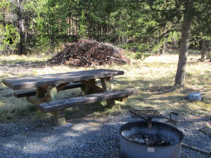 camp site picnic table and fire ringNFJD Campground site #8