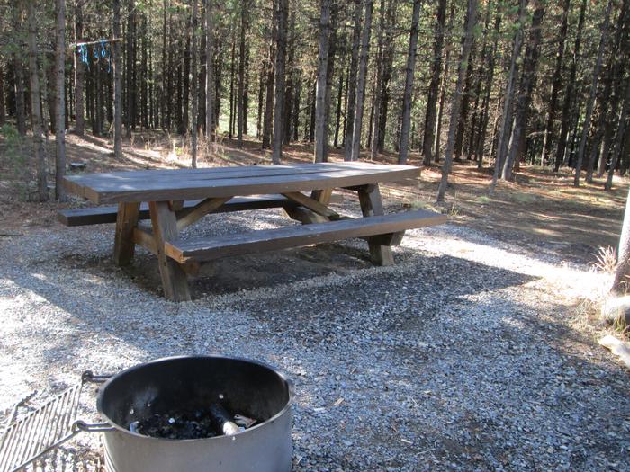 camp site picnic table and fire ringNFJD Campground site #11